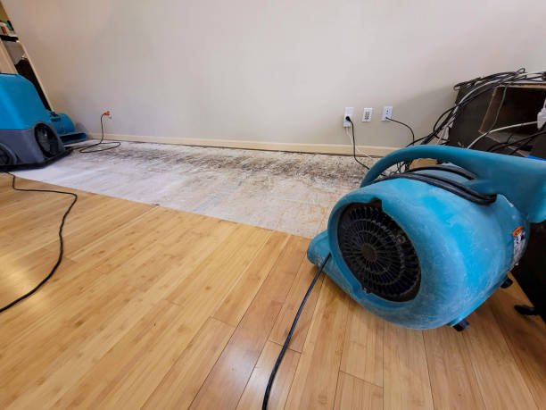 Professional Water Removal technician working in Ranchita, CA